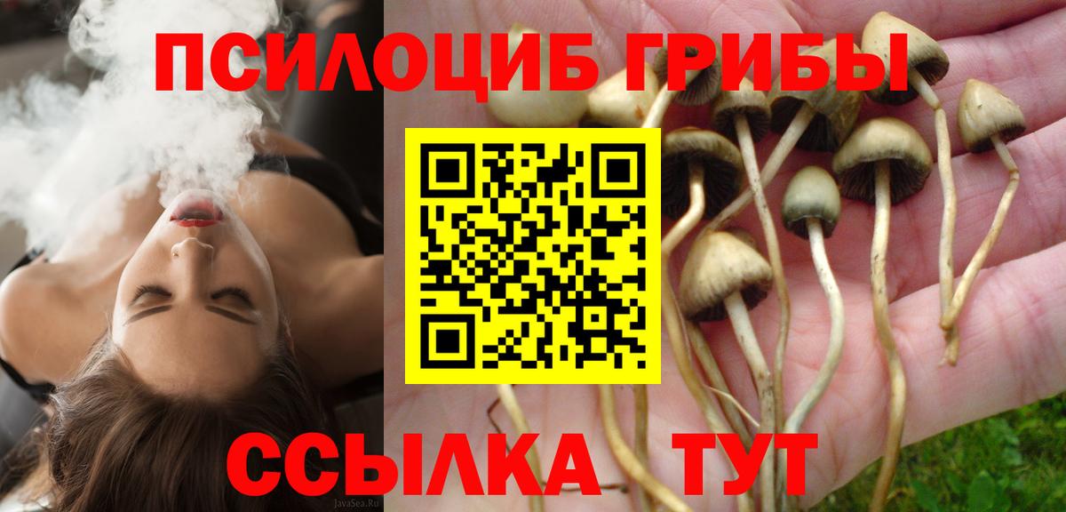 Галлюциногенные грибы Magic Shrooms Юрга